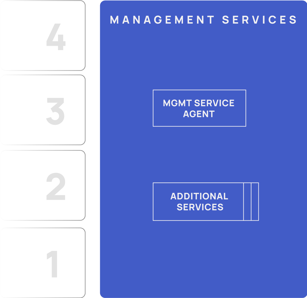mgmt services